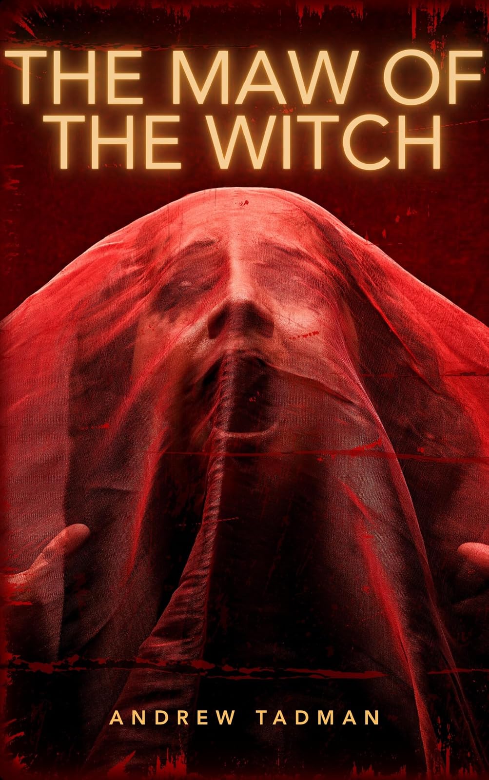 Cover of The Maw of the Witch: A Horror Novella by Andrew Tadman